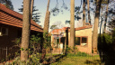  en . Punta For Sale 1279582