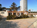 Pent house en Punta Del Este Playa Brava. Punta For Sale 1285529