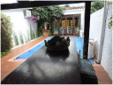 Casa con piscina en Punta Del Este Playa Mansa. Punta For Sale 1281362