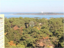 Piso alto en Punta Del Este Roosevelt. Punta For Sale 1296529