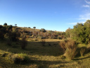 Campo en Garzón. Punta For Sale 189914