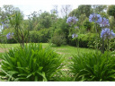 Casa en La Barra. Punta For Sale 335889