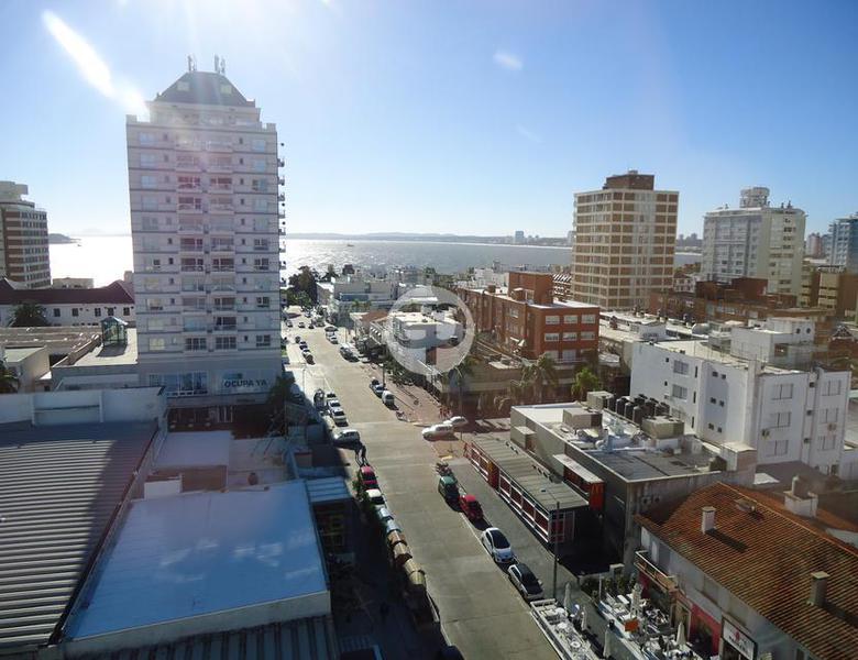 Departamento en Punta Del Este Península. Punta For Sale 1290247