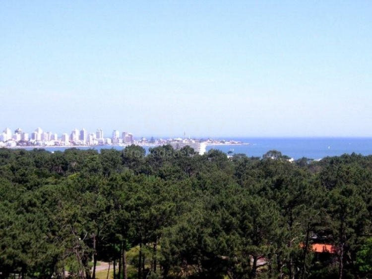 Departamento en Punta Del Este Roosevelt. Punta For Sale 191274