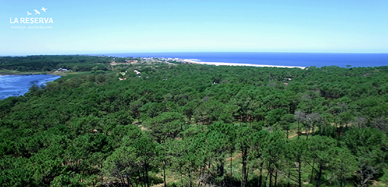 Noticias de Punta del Este - LA RESERVA MONTOYA | Un proyecto único en Punta del Este