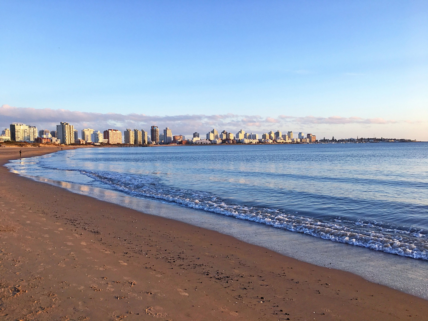 Punta For Sale - Punta del Este