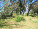 Terreno en Punta Del Este Aidy Grill. Punta For Sale 1344707