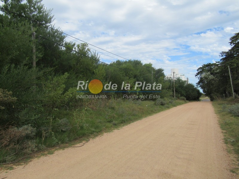 Terreno en Punta Del Este Rincón Del Indio. Punta For Sale 1344772