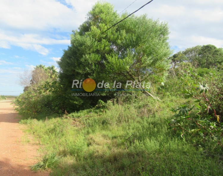 Terreno en Punta Del Este Rincón Del Indio. Punta For Sale 1344729